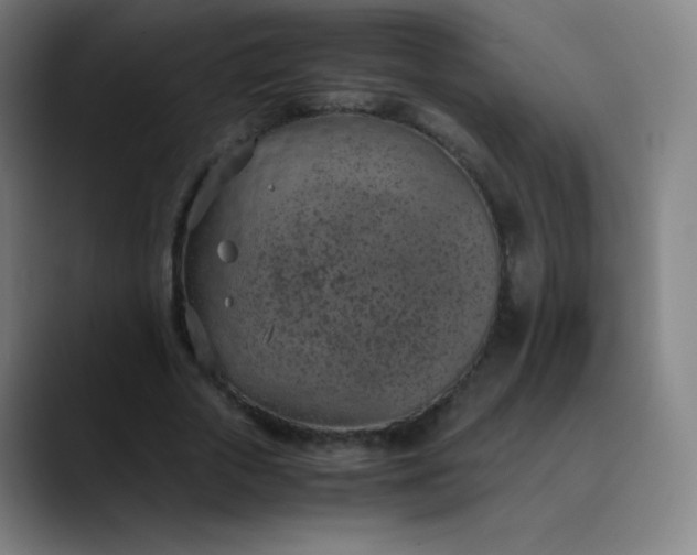 X0000089870729200707121754