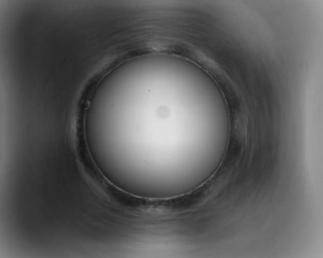 X0000089870730200707121754