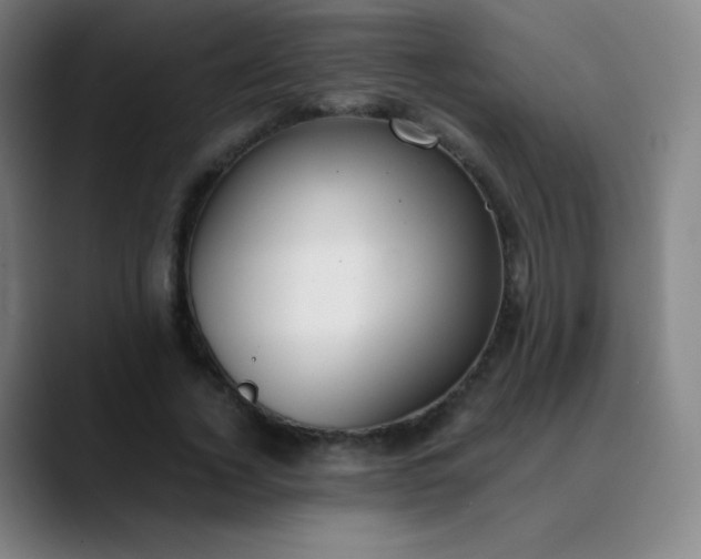 X0000089870732200707121754