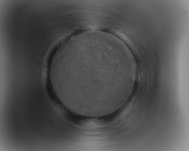 X0000089870736200707121754