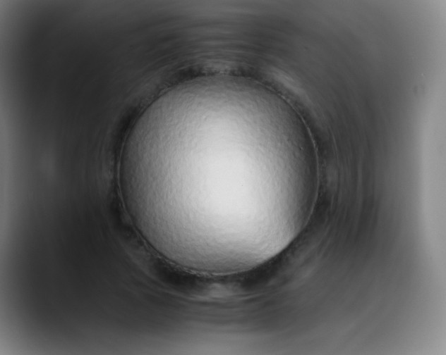 X0000089870737200707121754