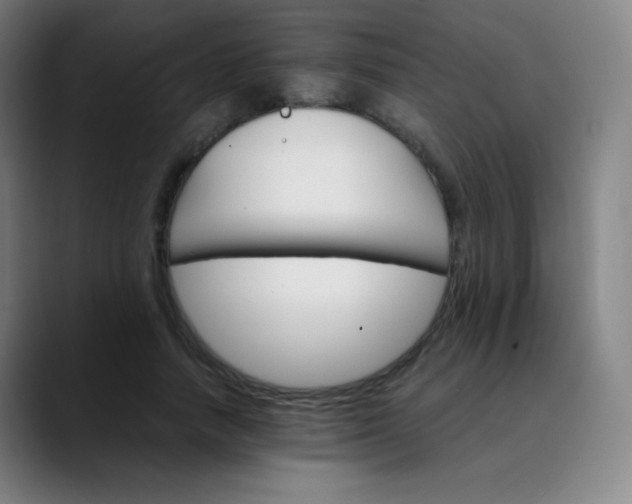 X0000089870738200707121754