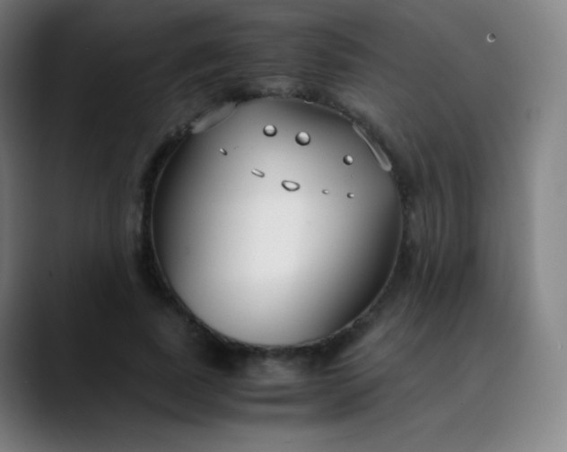 X0000089870739200707121754