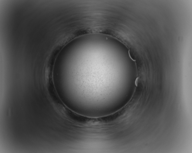 X0000089870742200707121754