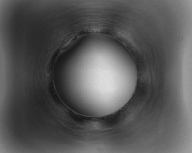 X0000089870743200707121754