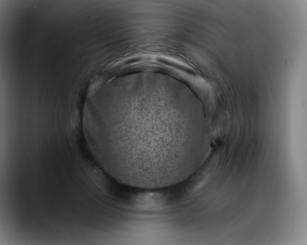 X0000089870748200707121754