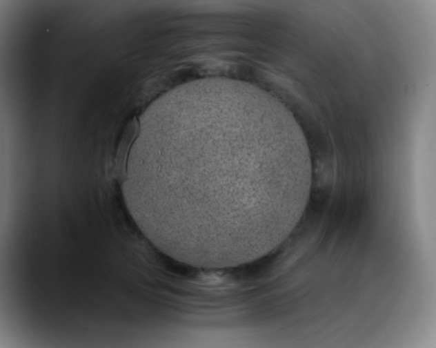 X0000089870753200707121754