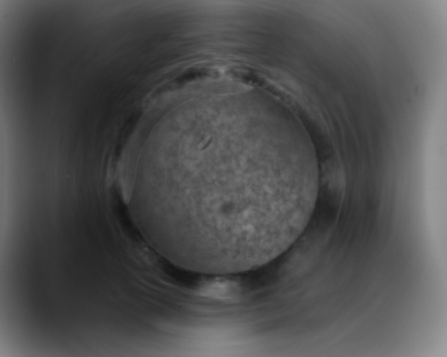 X0000089870754200707121754