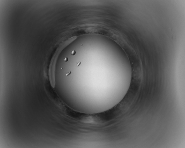 X0000089870755200707121754