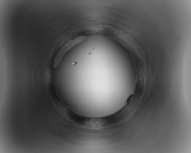 X0000089870758200707121754