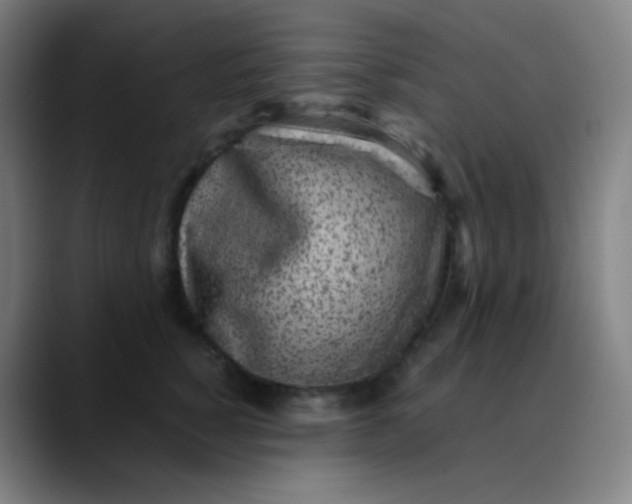 X0000089870760200707121754