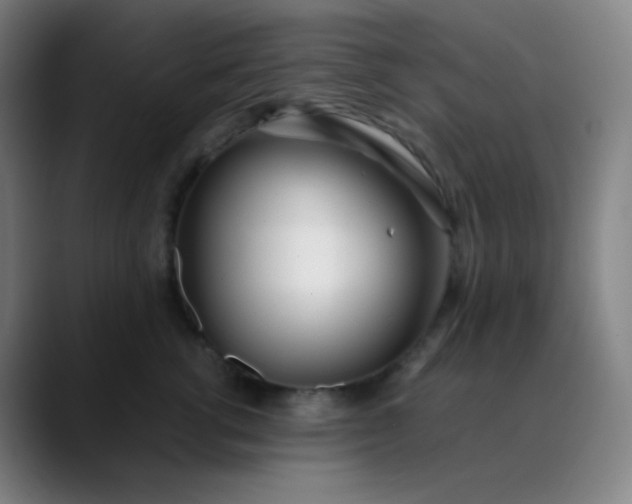 X0000089870762200707121754