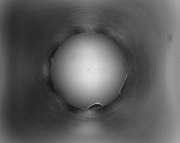 X0000089870768200707121754