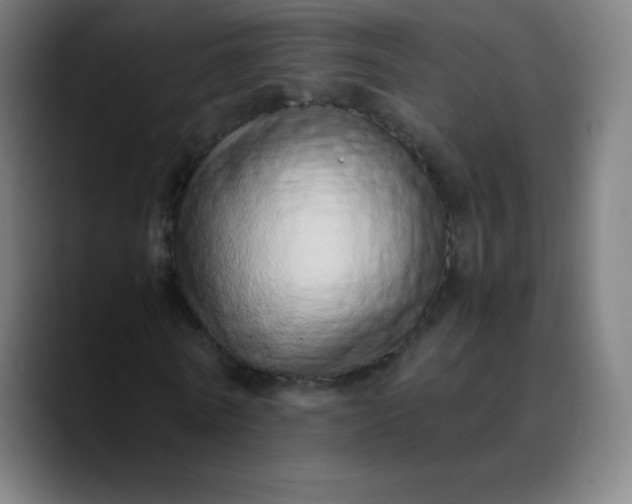 X0000089870770200707121753