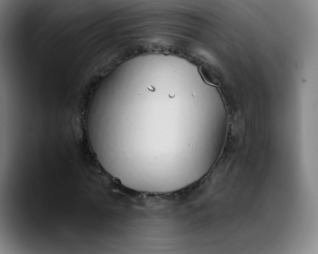 X0000089870774200707121753