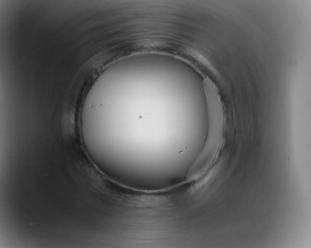 X0000089870777200707121753