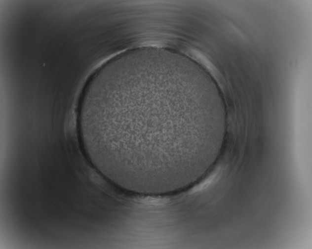 X0000089870779200707121753