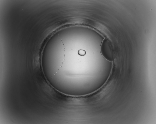 X0000089870781200707121753