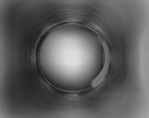 X0000089870784200707121753