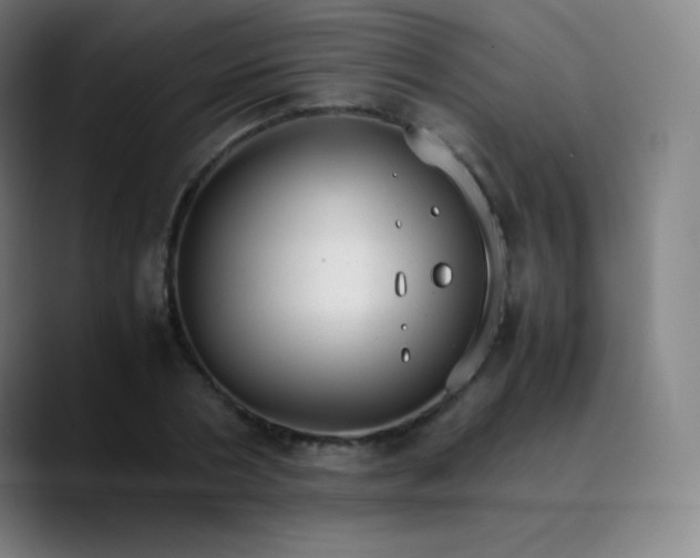 X0000089870786200707121753