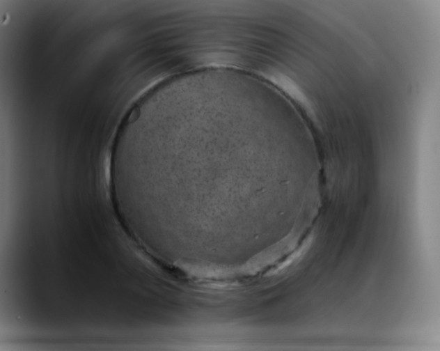X0000089870790200707121753