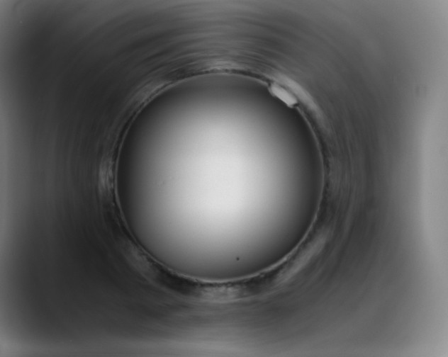 X0000089870793200707121753