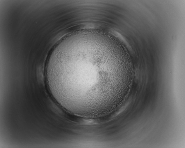 X0000089870794200707121753