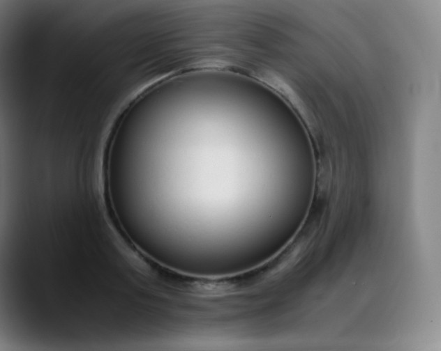 X0000089870795200707121753