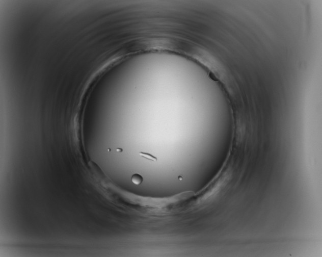X0000089870798200707121753