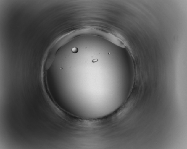 X0000089870803200707121753