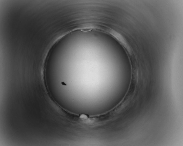 X0000089870805200707121753