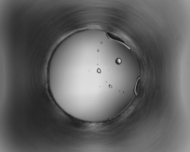 X0000089870808200707121753