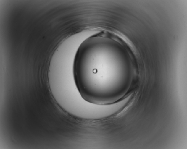 X0000089870809200707121753
