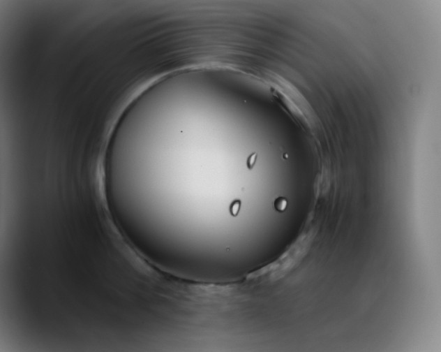 X0000089870812200707121753