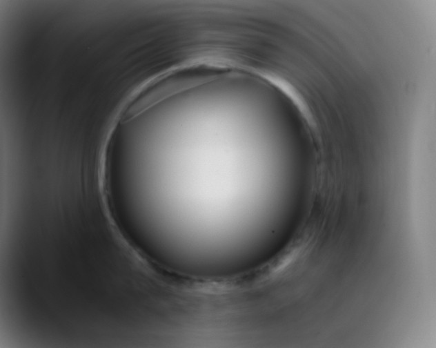 X0000089870815200707121753