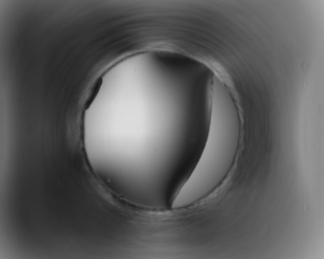 X0000089870816200707121753