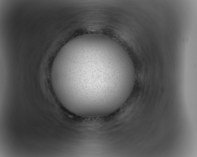 X0000089870817200707121752