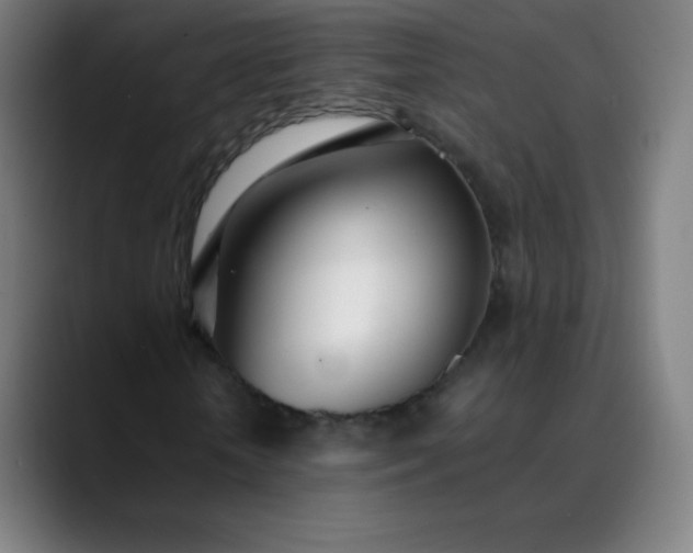X0000089870818200707121752