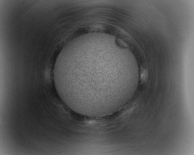 X0000089870819200707121752