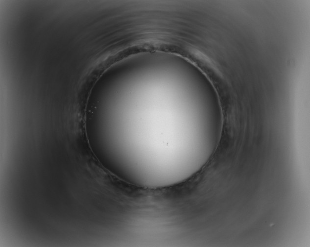 X0000089870822200707121752