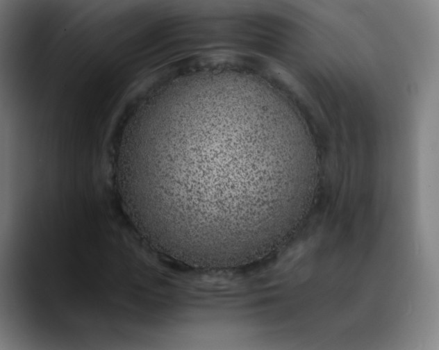 X0000089870823200707121752