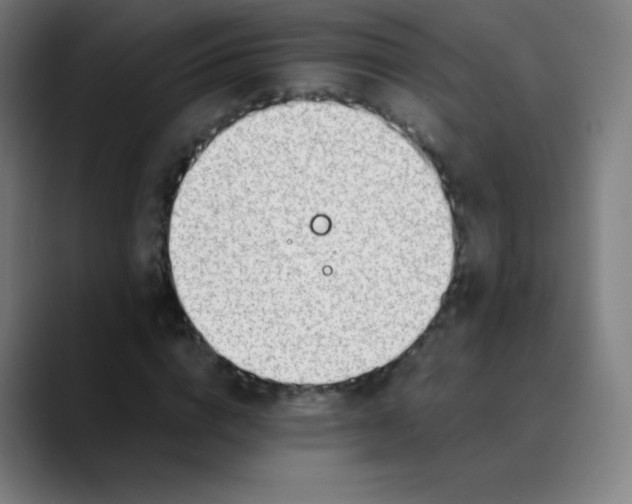 X0000089870824200707121752