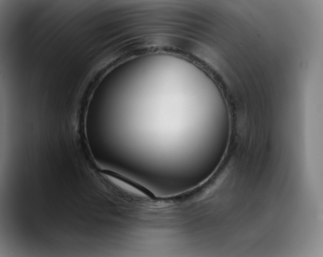 X0000089870826200707121752