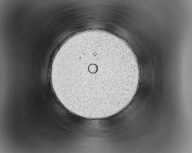X0000089870828200707121752