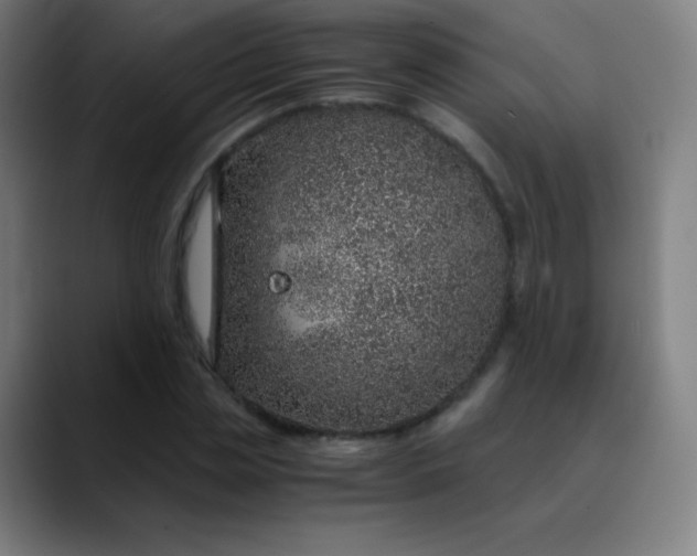 X0000089870829200707121752