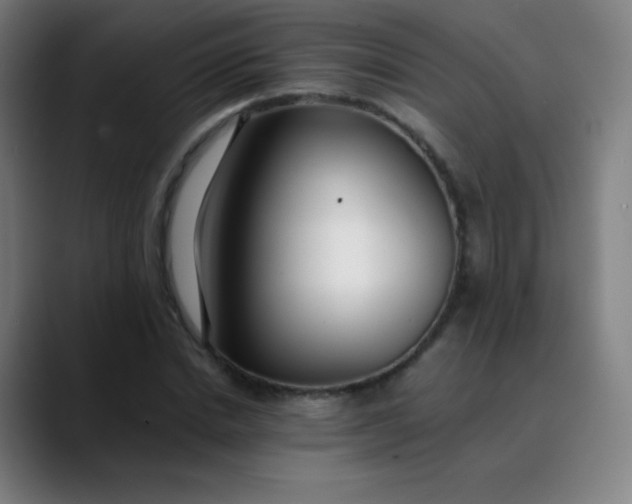 X0000089870830200707121752