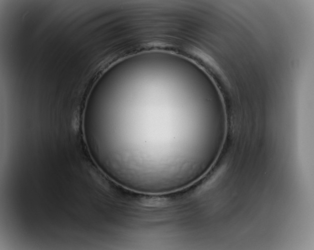 X0000089870833200707121753