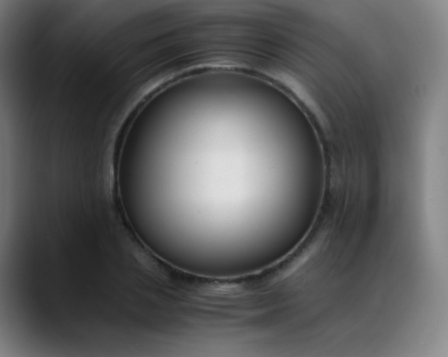 X0000089870837200707121753