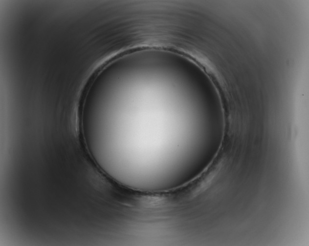 X0000089870838200707121753