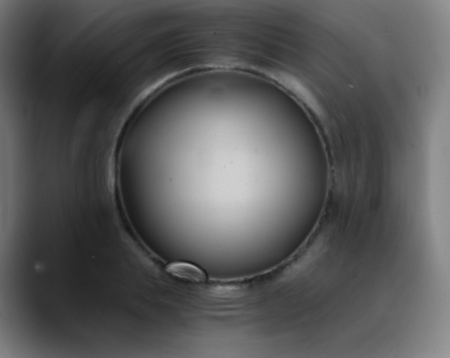 X0000089870839200707121753
